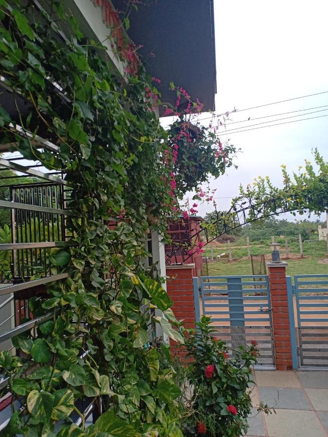 Mango Tree Homestay Hampi Exterior photo