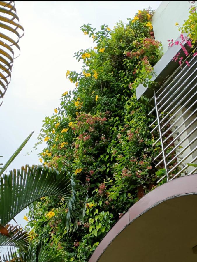 Mango Tree Homestay Hampi Exterior photo